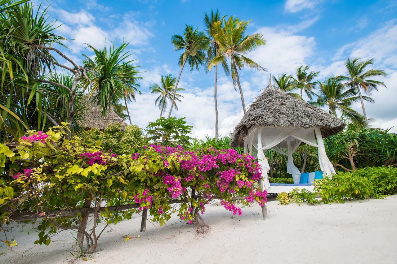 Zanzibar Queen Hotel Matemwe  Dış mekan fotoğraf